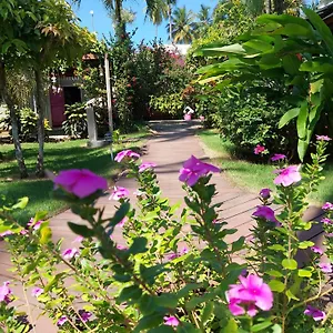 3* Hotel Casa Robinson